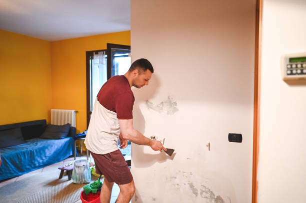 Best Mold Remediation for Specific Building Types in Fort Denaud, FL